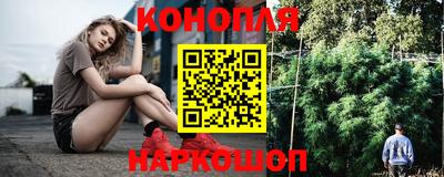 стаф Сосновый Бор