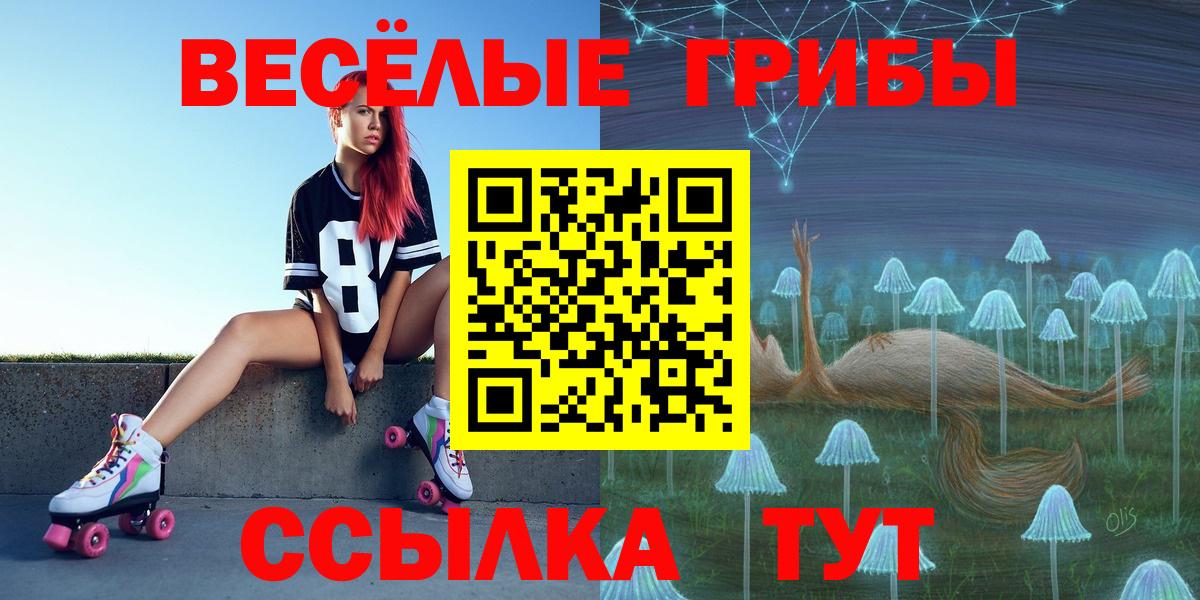 как найти закладки  Вход с VPN  Галлюциногенные грибы прущие грибы  Батайск  Галлюциногенные грибы GOLDEN TEACHER 